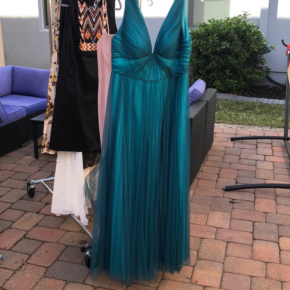 Monique Lhuillier gown. A couple of snags as pic’d